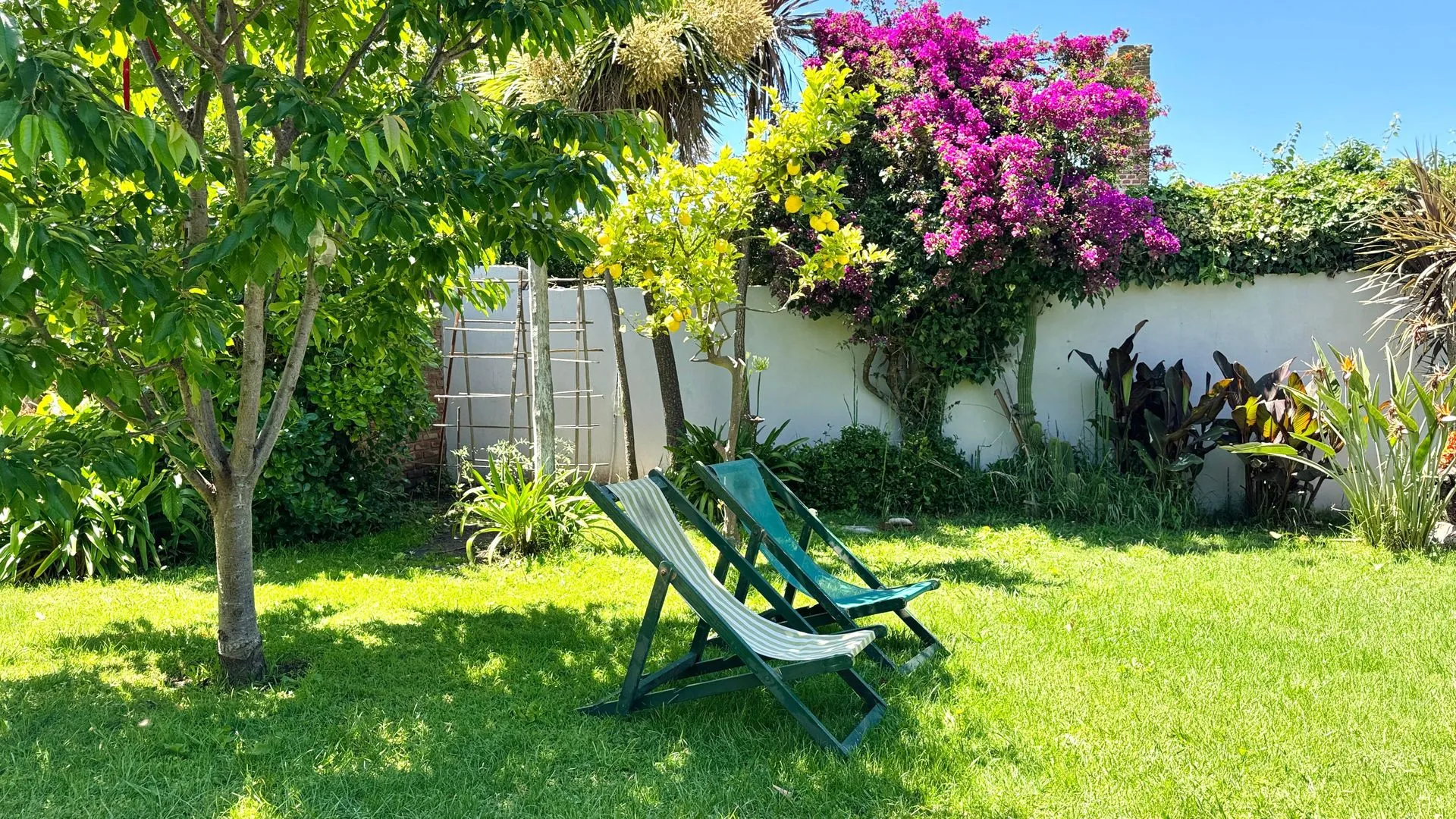 Casa Roble con Parrilla y Jardín | Necochea - miniatura 3